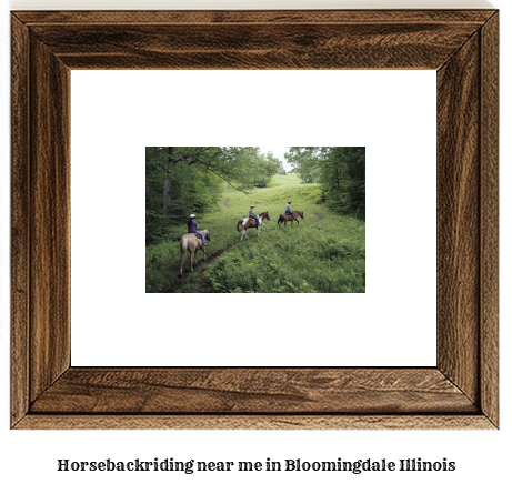 horseback riding near me in Bloomingdale, Illinois